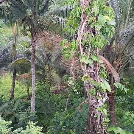 Hill Bottom Accommodation Suva Exterior photo