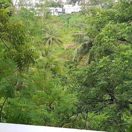 Hill Bottom Accommodation Suva Exterior photo