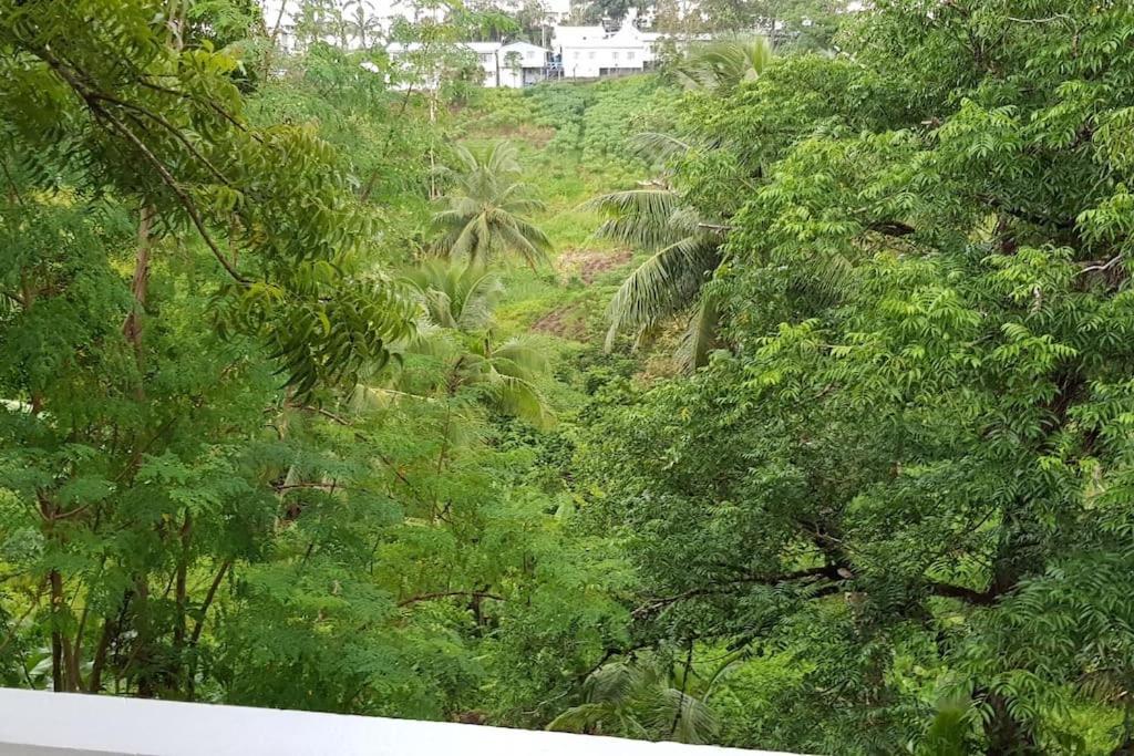 Hill Bottom Accommodation Suva Exterior photo
